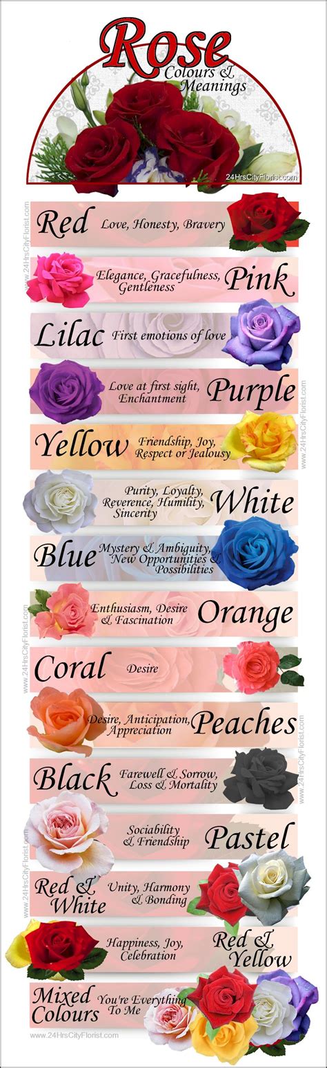 Color Meanings Of Roses Rose Color Meanings Flower Meanings Rose | The Best Porn Website