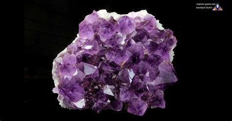 Amethyst Clusters Properties and Meaning + Photos | Crystal Information