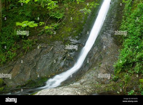 The Whitelady Waterfall, at Lydford Gorge, Devon, UK - John Gollop ...