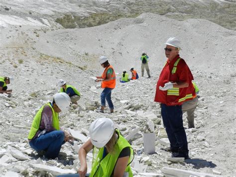 Fish fossils in the desert, diatomaceous earth and Nevada teachers