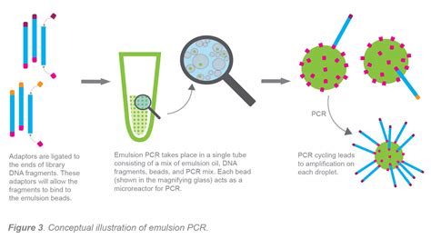 √ Pcr ماهو - Ù…ÙƒØªØ¨ Ø£Ø¨ÙˆØ¸Ø¨ÙŠ Ø§Ù„Ø¥Ø¹Ù„Ø§Ù…ÙŠ On Twitter Clarifications To Questions And ...