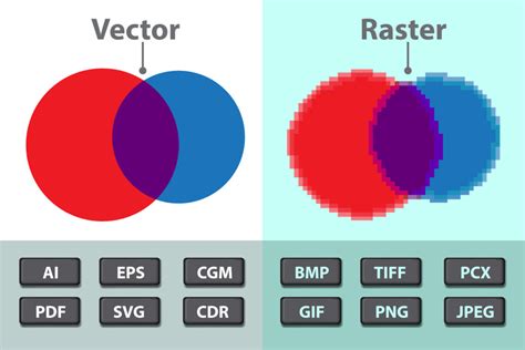 Which Graphic File Format is Best: Vector and Raster Images | Tell Your Tale Marketing & Design