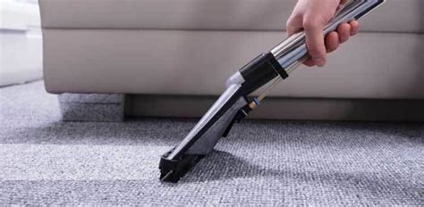 Best Carpet Cleaning Machine’s for Pet Urine | Daily Dog