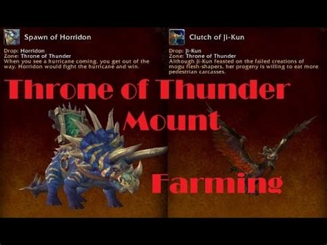 Throne of Thunder Solo Mount Farming - YouTube