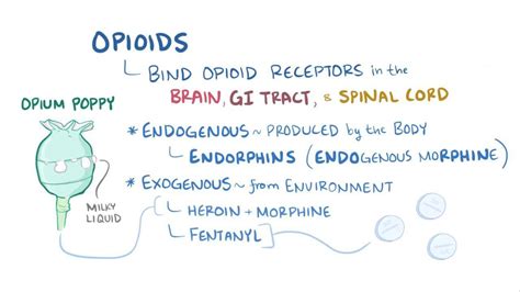 Opioid dependence: Video, Anatomy & Definition | Osmosis