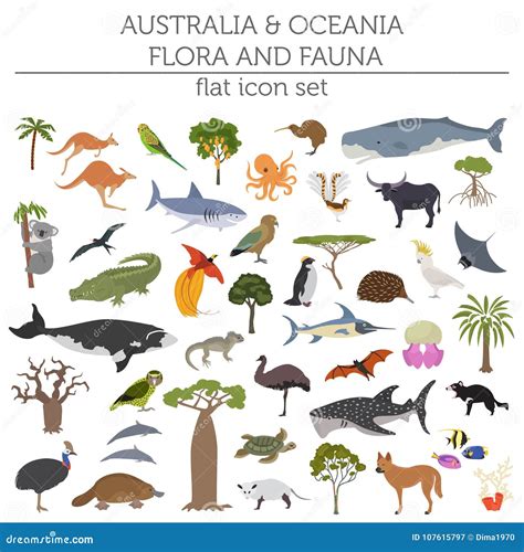 Australien Und Ozeanien-Flora Und -fauna Zeichnen, Flache Elemente Auf ...