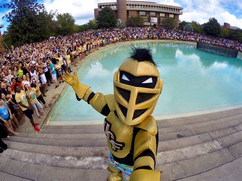 Knightro on Twitter: "I've been known to take a selfie or two with my fam Tweet me yours! # ...