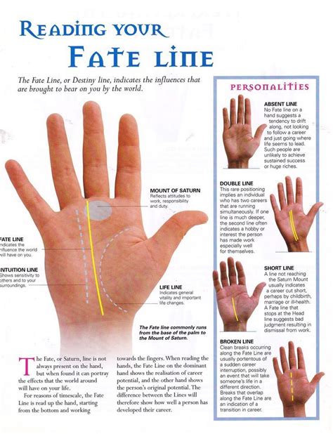 Palmistry Fate Line divination palm reading | Palmistry reading, Palm reading, Palmistry