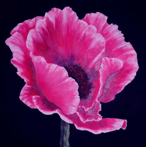 Pink Poppy Painting - Pink Poppy Fine Art Print | Poppy painting ...