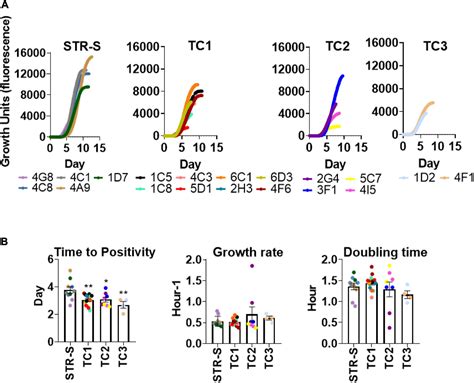 Frontiers | Heterogeneous Streptomycin Resistance Level Among Mycobacterium tuberculosis Strains ...