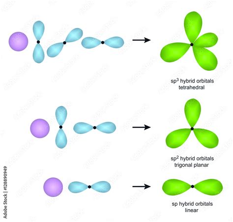 sp, sp2 and sp3 hybrid orbitals Stock Illustration | Adobe Stock