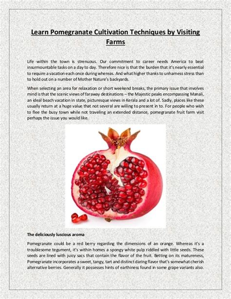 Learn pomegranate cultivation techniques by visiting farms