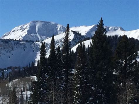 The Road Goes Ever On: Snowmobiling Greys River, Alpine, Wyoming