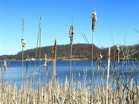 Marsh Creek Trail - Pennsylvania | AllTrails