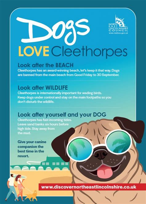 Dogs love Cleethorpes – here’s how to give your canine companion the best time in the resort ...