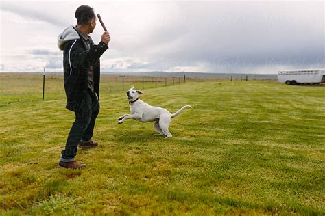 "Man Playing Fetch With His Dog" by Stocksy Contributor "Leah Flores" - Stocksy