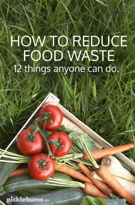 How to Reduce Food Waste - 12 Things Anyone Can Do - Picklebums