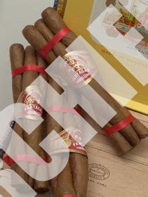 Partagas Cuban Cigars Culebras | Cigar Chief