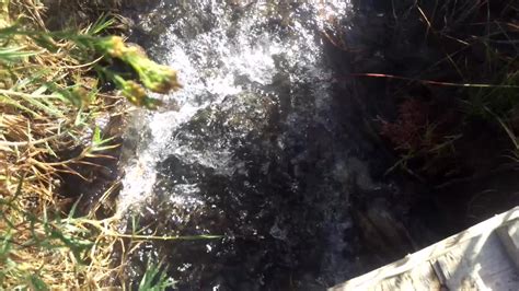 Snively Hot Springs, Owyhee River | The Snively Hot Springs … | Flickr