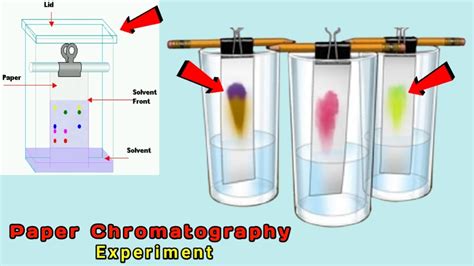 Paper Chromatography Chemistry Experiment | Chemistry Experiment with ...