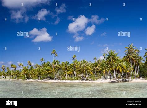 Beach of Manihi Island, Manihi, French Polynesia Stock Photo - Alamy