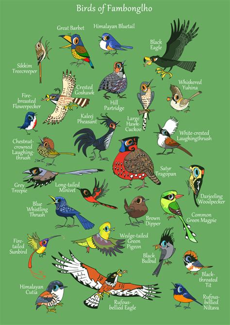 Green Humour: Fambonglho Wildlife Sanctuary Illustrated Map