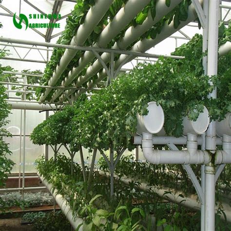 China Commercial Hydroponics Greenhouse with Vertical Nft PVC Pipe - China Hydroponnics, Nft ...