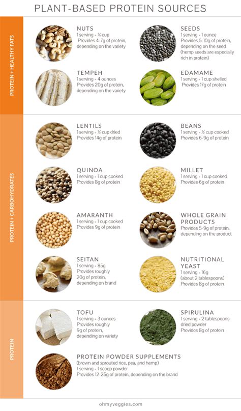 Nutrition Q&A: Protein + Plant-Based Diets