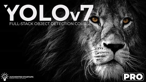 YOLOv7 Object Detection Pro Course