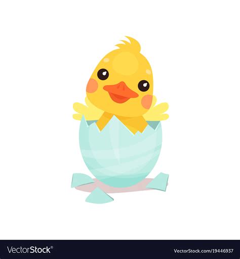 Cute little yellow duck chick character hatching Vector Image