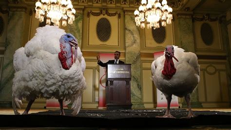 The Unusual Origin Of The Thanksgiving Presidential Turkey Pardon