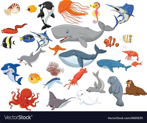 Cartoon sea animals isolated on white background Vector Image