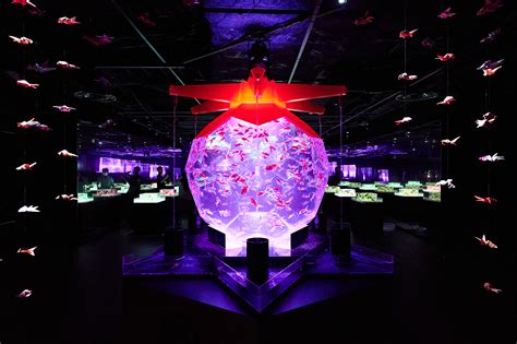 [18% OFF] Art Aquarium Museum GINZA ticket