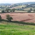 Trenches dug in field parallel to Langdon road! - dawlish.com