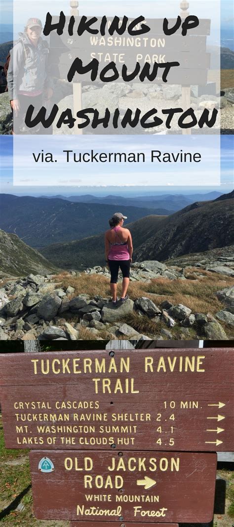 A guide to hiking Mount Washington via the Tuckerman Ravine Trail- Tips on hiking with d ...