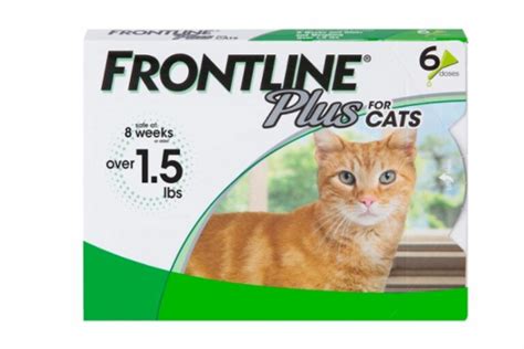 Flea Medicine for Cats: Vet-Recommended Pills, Topicals, and Collars ...