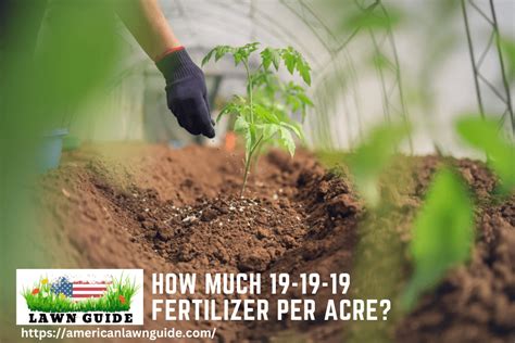 How Much 19-19-19 Fertilizer Per Acre?