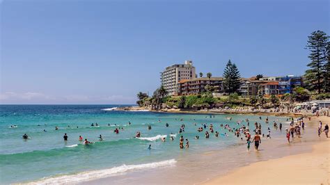 Cronulla Area Guide