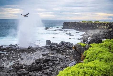 [:es]★ ISLA ESPAÑOLA - GALÁPAGOS By : @overlandtheamericas[:en]★ ISLA ESPAÑOLA - GALÁPAGOS By ...