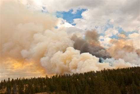 Air Pollution Threat from Wildfires Predicted to Grow – AirPop