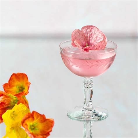 25 Summer Drinks That are Pink (Cocktails + Mocktails)