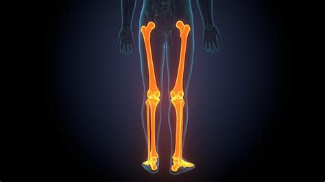 Premium Photo | A human figure with knee pain and knee pain