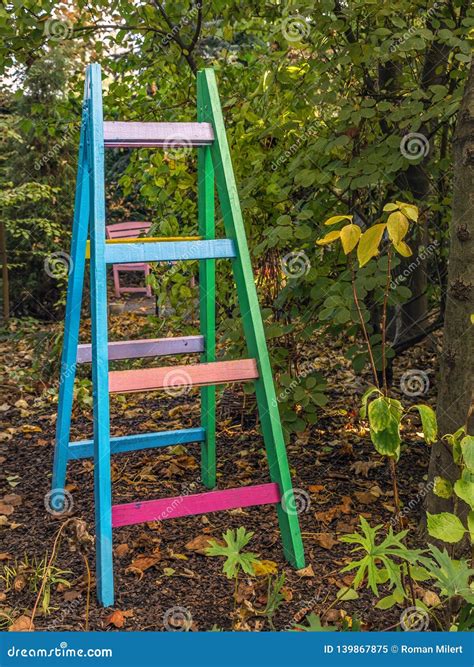 Colorful Wooden Ladder in the Garden Stock Image - Image of plant, autumn: 139867875