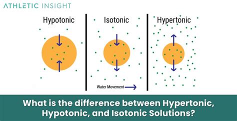 Hypertonic Solution: Definition, How it Works, Importance, and Benefits - Athletic Insight