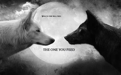 The Story of the Two Wolves, which one do you feed? — Steemit | Two ...