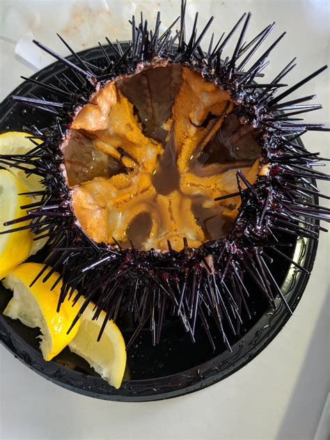 [I Ate] Sea urchin roe | Sea urchin roe, Sea urchin, A food