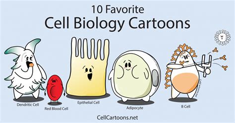 Favorite Cell Biology Cartoons – Cell Cartoons