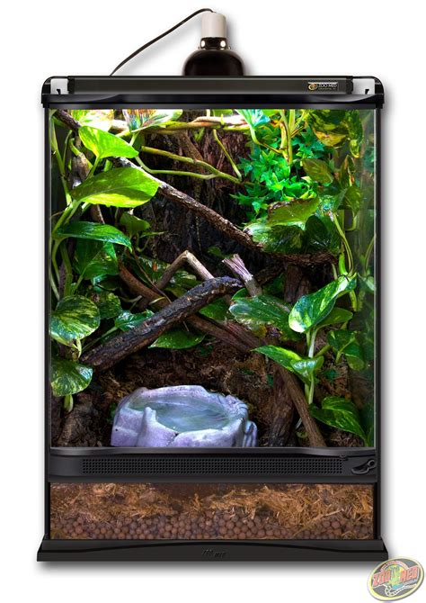 12x12x18 Zoo Med Terrarium. DIY this terrarium with Hydroballs, Forest Floor Substrate, and ...