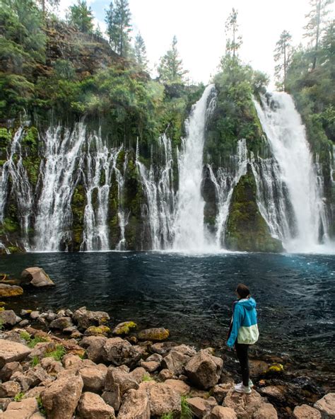 4 Incredible Mount Shasta Waterfalls - Lita of the Pack