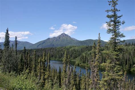 Wrangell-St Elias National Park 8 Photograph by Flo McKinley - Fine Art America